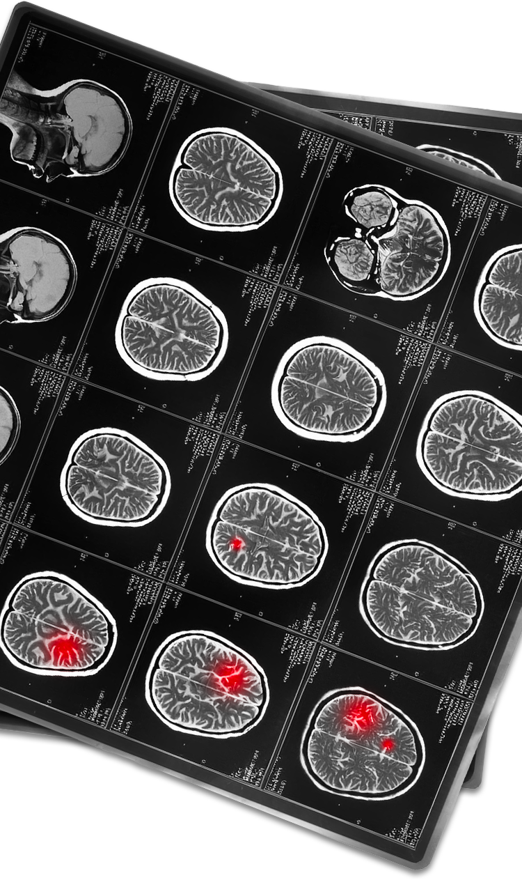 Scientists Discovery